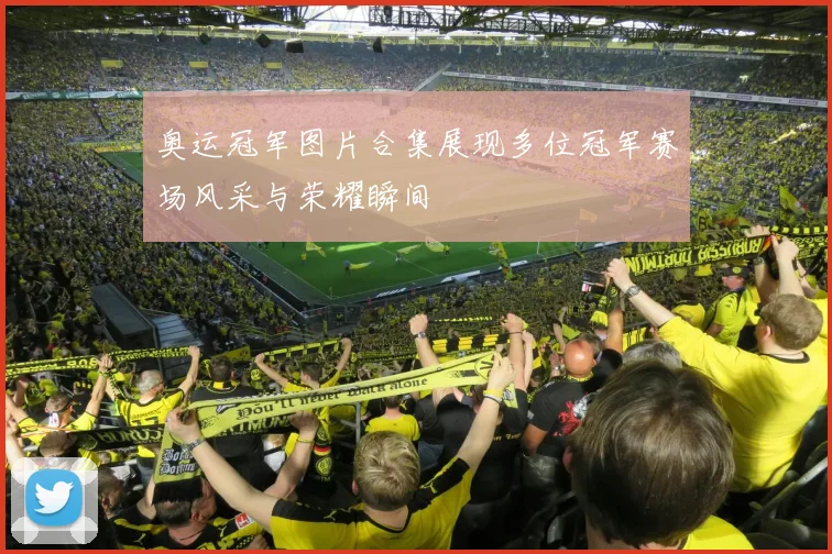 奥运冠军图片合集展现多位冠军赛场风采与荣耀瞬间